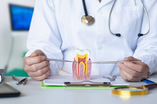 Best Emergency TMJ Treatment in Manchester, GA